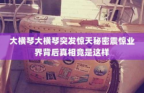 大横琴大横琴突发惊天秘密震惊业界背后真相竟是这样