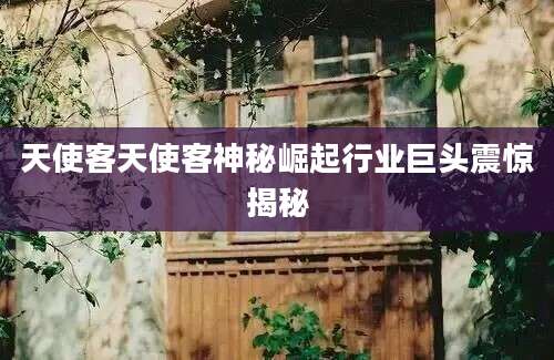 天使客天使客神秘崛起行业巨头震惊揭秘
