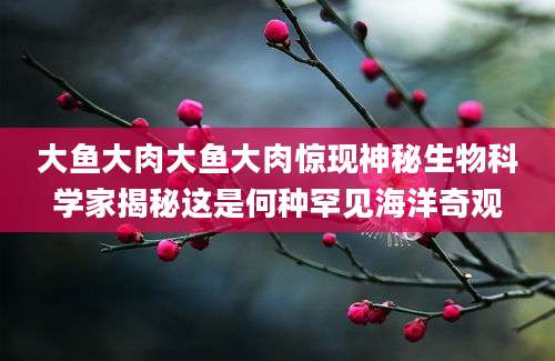 大鱼大肉大鱼大肉惊现神秘生物科学家揭秘这是何种罕见海洋奇观