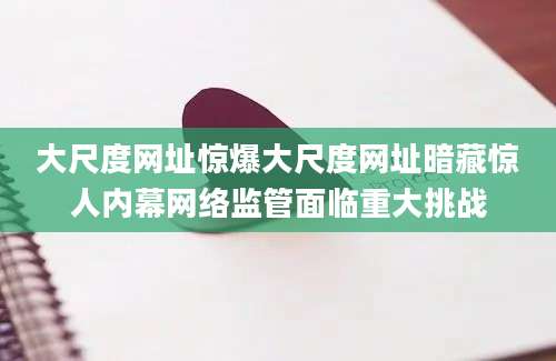 大尺度网址惊爆大尺度网址暗藏惊人内幕网络监管面临重大挑战