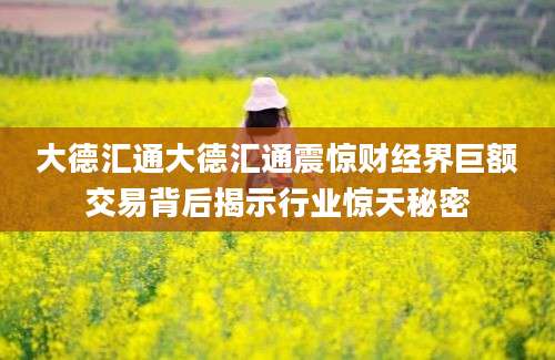 大德汇通大德汇通震惊财经界巨额交易背后揭示行业惊天秘密