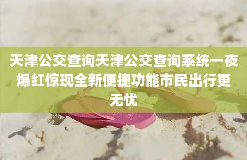 天津公交查询天津公交查询系统一夜爆红惊现全新便捷功能市民出行更无忧