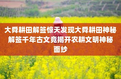 大舜耕田解签惊天发现大舜耕田神秘解签千年古文竟揭开农耕文明神秘面纱