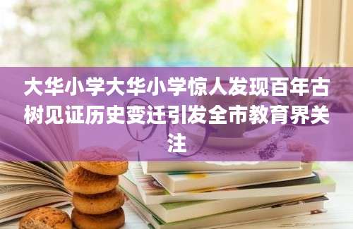 大华小学大华小学惊人发现百年古树见证历史变迁引发全市教育界关注