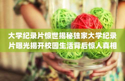 大学纪录片惊世揭秘独家大学纪录片曝光揭开校园生活背后惊人真相
