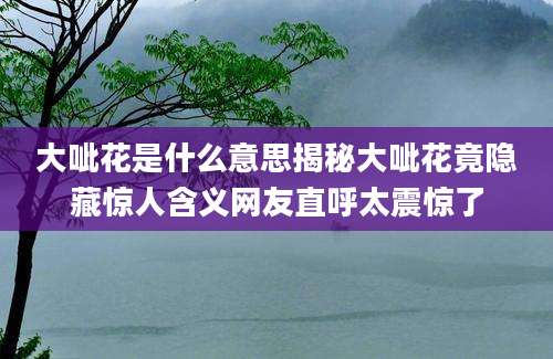 大呲花是什么意思揭秘大呲花竟隐藏惊人含义网友直呼太震惊了