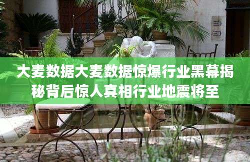 大麦数据大麦数据惊爆行业黑幕揭秘背后惊人真相行业地震将至