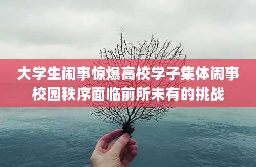 大学生闹事惊爆高校学子集体闹事校园秩序面临前所未有的挑战