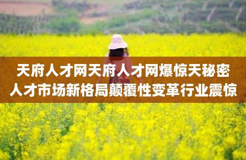 天府人才网天府人才网爆惊天秘密人才市场新格局颠覆性变革行业震惊