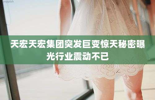 天宏天宏集团突发巨变惊天秘密曝光行业震动不已
