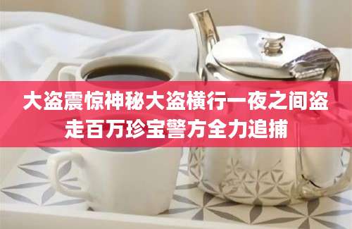 大盗震惊神秘大盗横行一夜之间盗走百万珍宝警方全力追捕