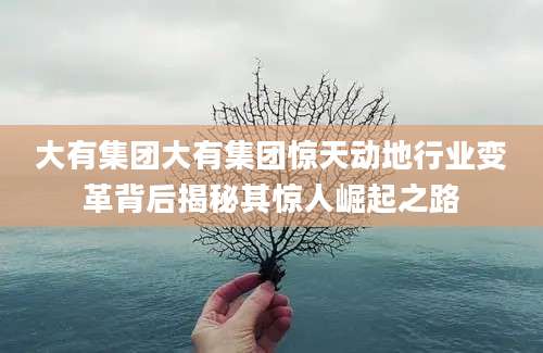 大有集团大有集团惊天动地行业变革背后揭秘其惊人崛起之路