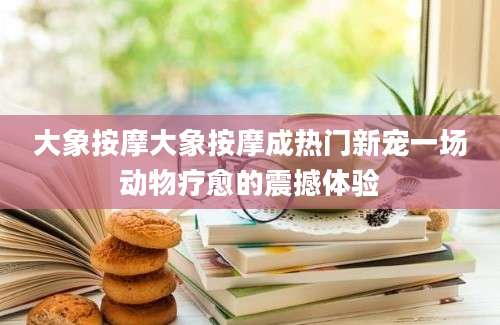 大象按摩大象按摩成热门新宠一场动物疗愈的震撼体验