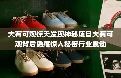 大有可观惊天发现神秘项目大有可观背后隐藏惊人秘密行业震动