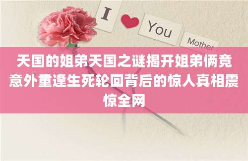天国的姐弟天国之谜揭开姐弟俩竟意外重逢生死轮回背后的惊人真相震惊全网