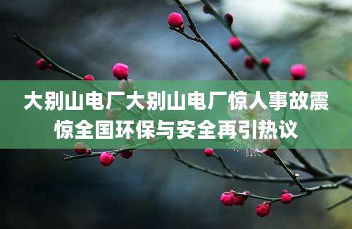 大别山电厂大别山电厂惊人事故震惊全国环保与安全再引热议