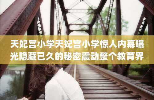 天妃宫小学天妃宫小学惊人内幕曝光隐藏已久的秘密震动整个教育界