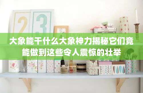 大象能干什么大象神力揭秘它们竟能做到这些令人震惊的壮举
