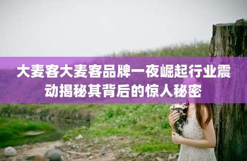 大麦客大麦客品牌一夜崛起行业震动揭秘其背后的惊人秘密