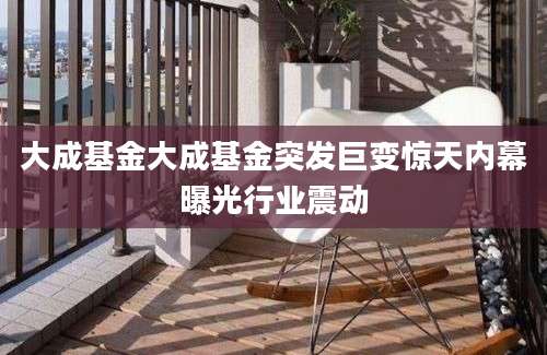大成基金大成基金突发巨变惊天内幕曝光行业震动
