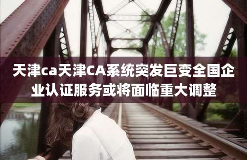 天津ca天津CA系统突发巨变全国企业认证服务或将面临重大调整