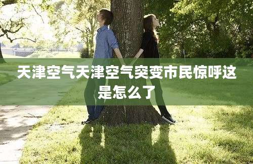天津空气天津空气突变市民惊呼这是怎么了