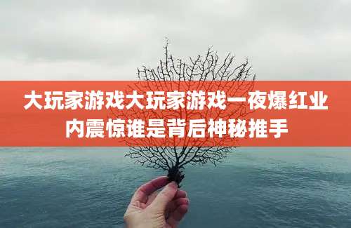 大玩家游戏大玩家游戏一夜爆红业内震惊谁是背后神秘推手