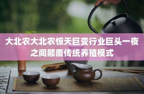 大北农大北农惊天巨变行业巨头一夜之间颠覆传统养殖模式