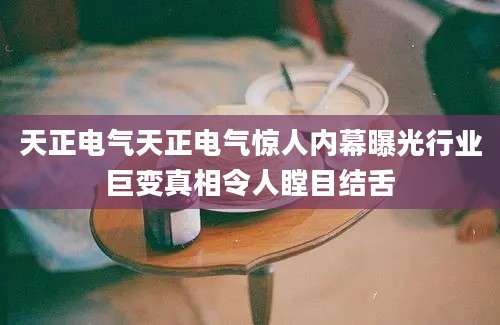 天正电气天正电气惊人内幕曝光行业巨变真相令人瞠目结舌