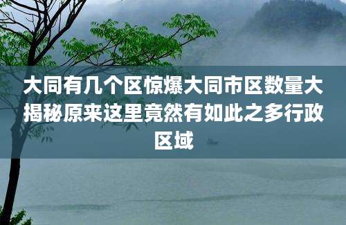 大同有几个区惊爆大同市区数量大揭秘原来这里竟然有如此之多行政区域