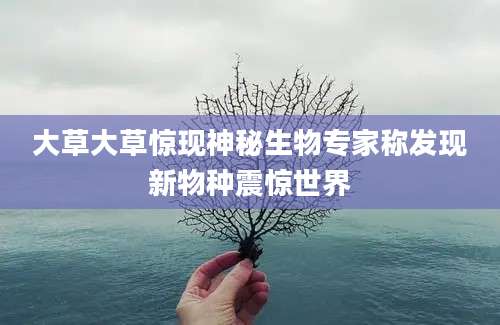 大草大草惊现神秘生物专家称发现新物种震惊世界