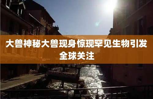 大兽神秘大兽现身惊现罕见生物引发全球关注