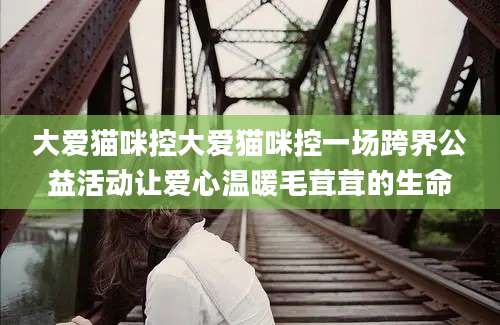 大爱猫咪控大爱猫咪控一场跨界公益活动让爱心温暖毛茸茸的生命