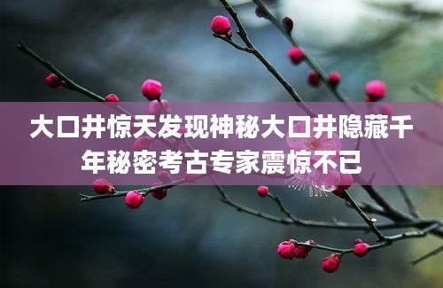大口井惊天发现神秘大口井隐藏千年秘密考古专家震惊不已
