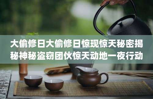 大偷修日大偷修日惊现惊天秘密揭秘神秘盗窃团伙惊天动地一夜行动