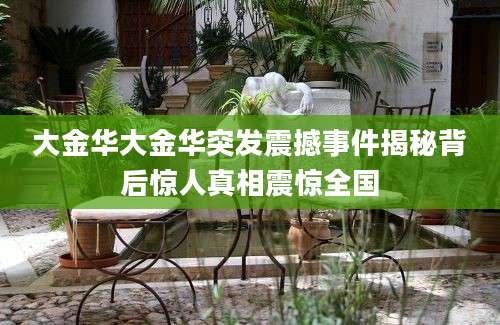 大金华大金华突发震撼事件揭秘背后惊人真相震惊全国