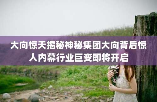 大向惊天揭秘神秘集团大向背后惊人内幕行业巨变即将开启