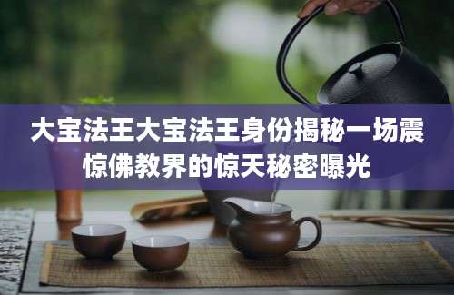 大宝法王大宝法王身份揭秘一场震惊佛教界的惊天秘密曝光
