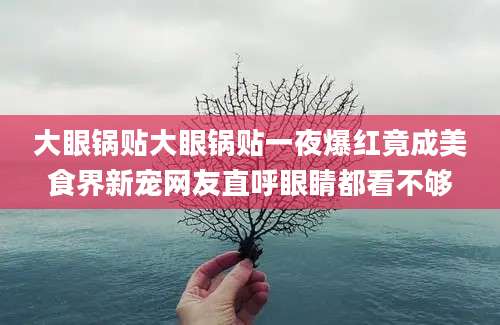 大眼锅贴大眼锅贴一夜爆红竟成美食界新宠网友直呼眼睛都看不够